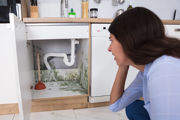Avoiding mold in your home