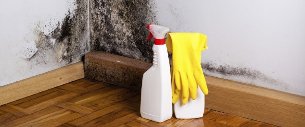 Mold Prevention Tip