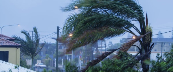 Storm Damage